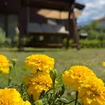 Villa Recharge