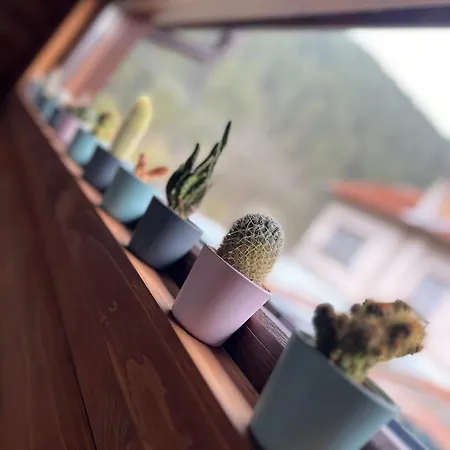 Βίλα Recharge Govedartsi