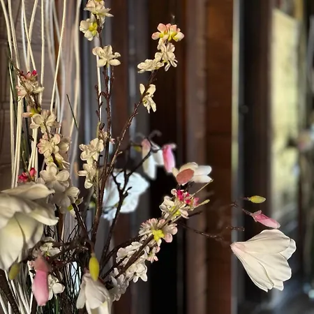 Recharge Βίλα Govedartsi