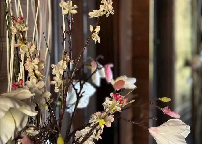 Recharge Willa Govedartsi